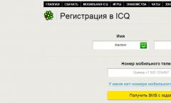 Regjistrimi ICQ pa numër - Si të regjistroheni në ICQ