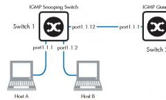 Snooping IGMP: concepeți și utilizați routerul Wi-Fi cum funcționează iptv