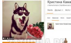 Odnoklassniki: hogyan lehet megnyitni az oldalam