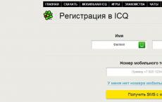 Înregistrare ICQ fără număr - Cum să vă înregistrați în ICQ